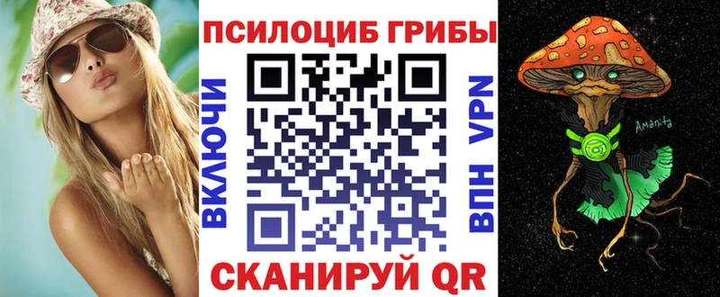 Псилоцибиновые грибы GOLDEN TEACHER  Купить  Красноармейск 